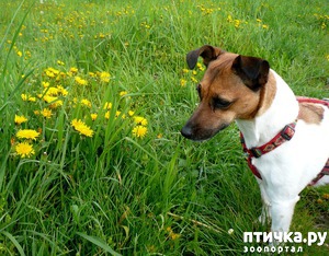 ����: ������� � ����, ��� ����������