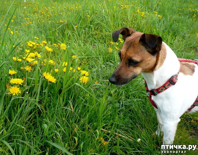 ���� 1: ������� � ����, ��� ����������