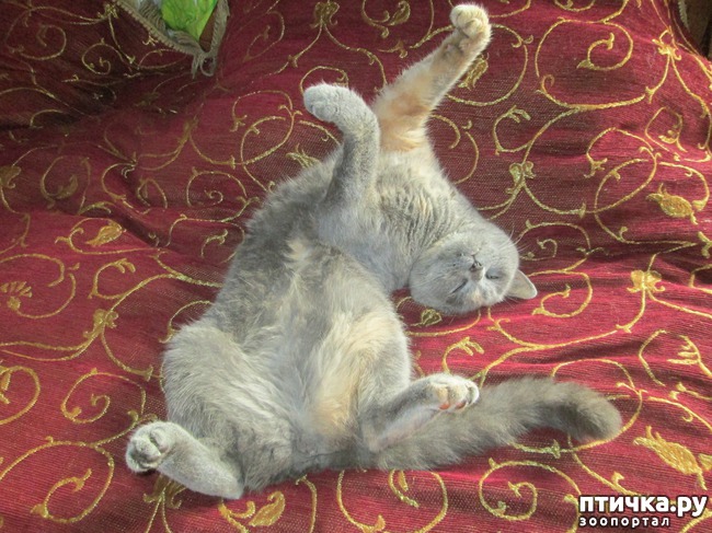 ���� 2: ������� � ������ ����� � ������.