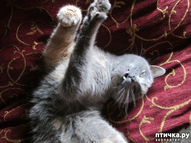 ���� 3: ������� � ������ ����� � ������.