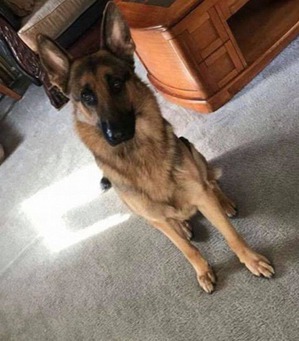 ����: ��� �������� ������� ������ ������� � ���� �� ���������� ������