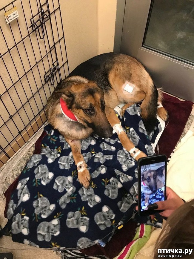 ���� 3: ��� �������� ������� ������ ������� � ���� �� ���������� ������