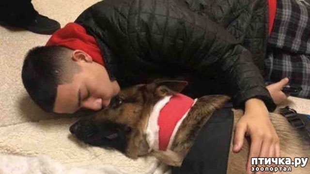 ���� 4: ��� �������� ������� ������ ������� � ���� �� ���������� ������