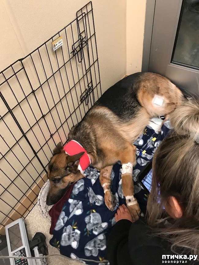 ���� 5: ��� �������� ������� ������ ������� � ���� �� ���������� ������