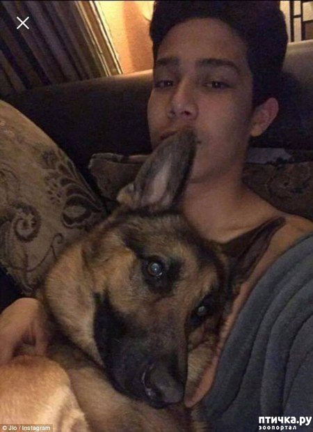 ���� 7: ��� �������� ������� ������ ������� � ���� �� ���������� ������