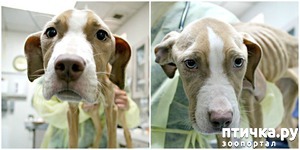 ����: ��������� �� ����� ������ ������ � ����� ����� ����, ����� ������, ���� ��� ��� ������ ������ � ����