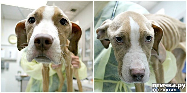 ���� 1: ��������� �� ����� ������ ������ � ����� ����� ����, ����� ������, ���� ��� ��� ������ ������ � ����