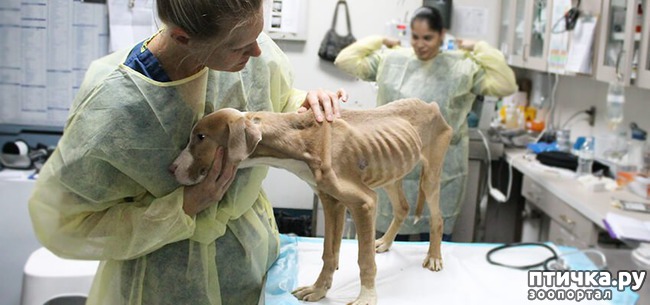 ���� 2: ��������� �� ����� ������ ������ � ����� ����� ����, ����� ������, ���� ��� ��� ������ ������ � ����