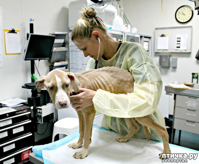 ���� 3: ��������� �� ����� ������ ������ � ����� ����� ����, ����� ������, ���� ��� ��� ������ ������ � ����