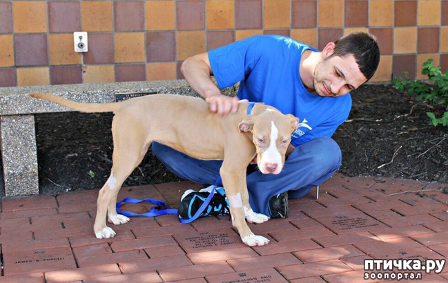 ���� 4: ��������� �� ����� ������ ������ � ����� ����� ����, ����� ������, ���� ��� ��� ������ ������ � ����