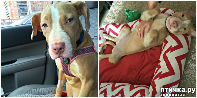 ���� 5: ��������� �� ����� ������ ������ � ����� ����� ����, ����� ������, ���� ��� ��� ������ ������ � ����