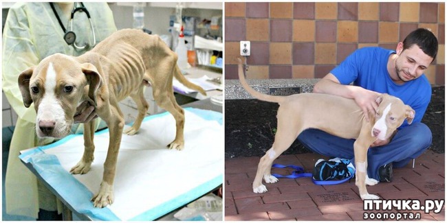 ���� 6: ��������� �� ����� ������ ������ � ����� ����� ����, ����� ������, ���� ��� ��� ������ ������ � ����