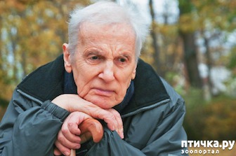 ���� 1: ���� � �����������