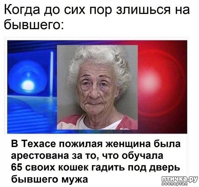 ���� 1: ������ � �����