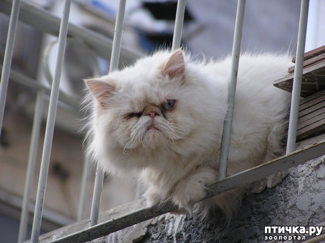 ���� 1: �������