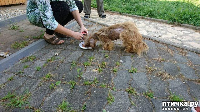 ���� 3: ��� ���� ����� ������, ���� �������� ������ � �������. �� ������ ��� ������, �� �� �������� ���� ������