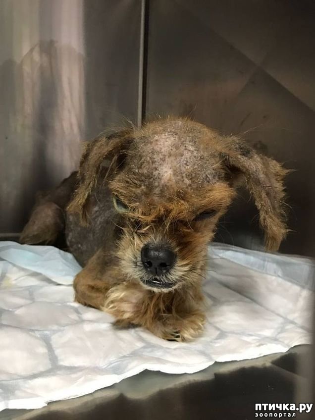 ���� 4: ��� ���� ����� ������, ���� �������� ������ � �������. �� ������ ��� ������, �� �� �������� ���� ������