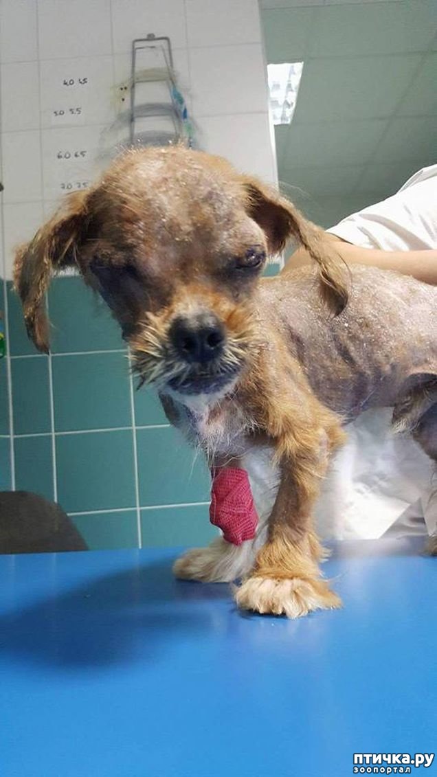 ���� 5: ��� ���� ����� ������, ���� �������� ������ � �������. �� ������ ��� ������, �� �� �������� ���� ������