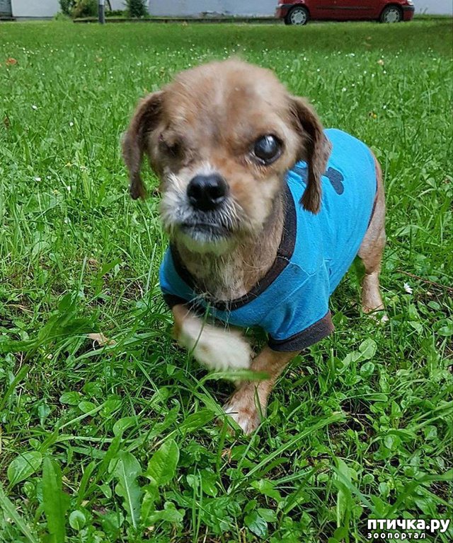 ���� 6: ��� ���� ����� ������, ���� �������� ������ � �������. �� ������ ��� ������, �� �� �������� ���� ������