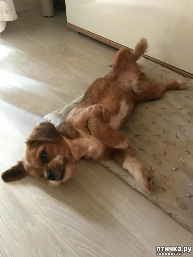 ���� 7: ��� ���� ����� ������, ���� �������� ������ � �������. �� ������ ��� ������, �� �� �������� ���� ������