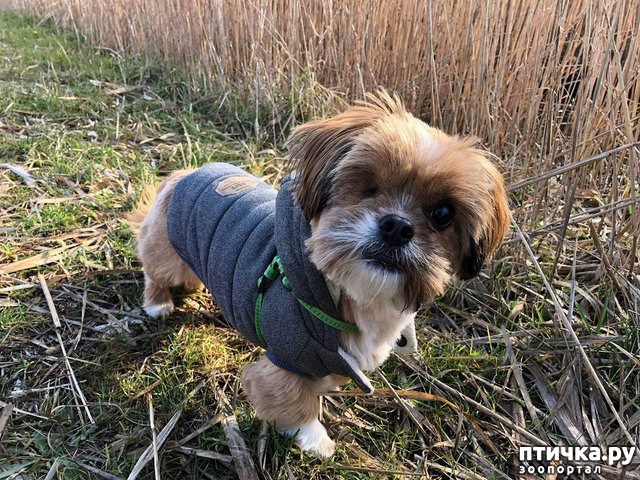 ���� 9: ��� ���� ����� ������, ���� �������� ������ � �������. �� ������ ��� ������, �� �� �������� ���� ������