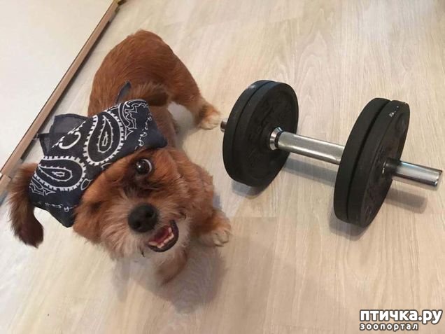 ���� 10: ��� ���� ����� ������, ���� �������� ������ � �������. �� ������ ��� ������, �� �� �������� ���� ������