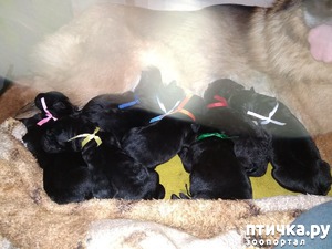 ����: �����!!!