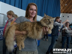 ����: ��������� ���