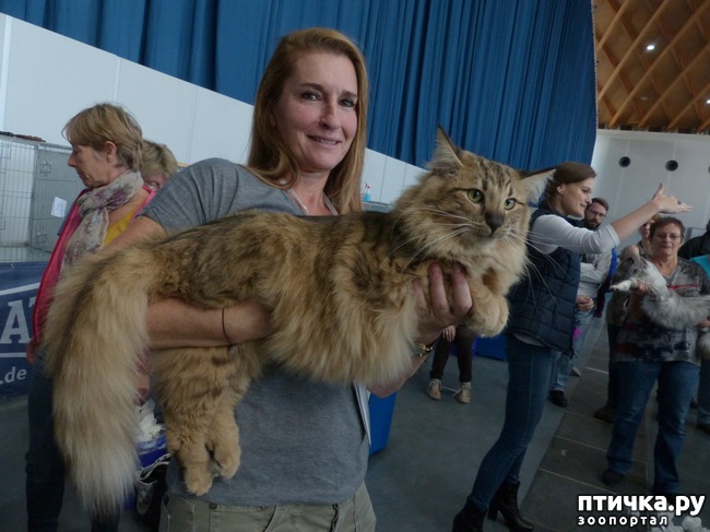 ���� 1: ��������� ���