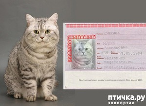 ����: ���������� ������ ��� ����� ���������