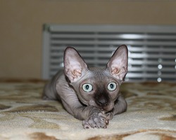 ���� 2: ���������� ������ ��� ����� ���������