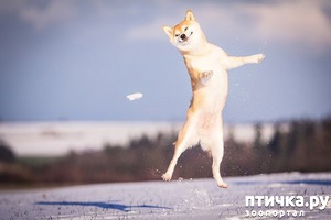 ����: ��� ������� � �������� ��������)))