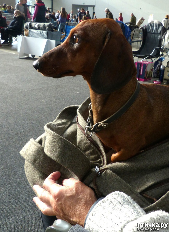 ���� 1: �������� � �������� ����� 4