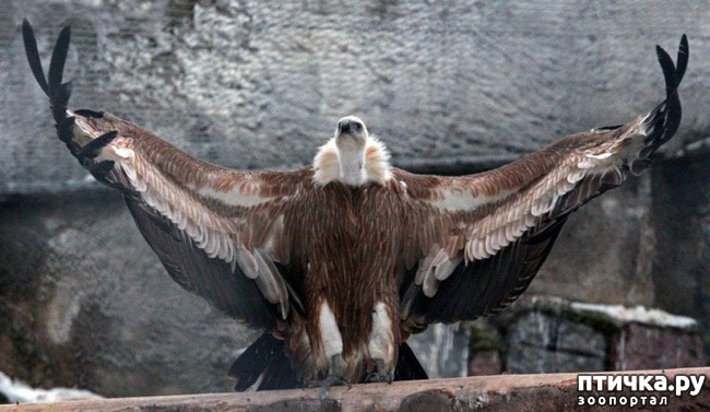 ���� 3: ��� ������� � �������� ��������)))