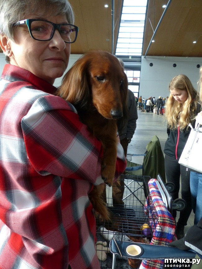 ���� 2: �������� � �������� ����� 4