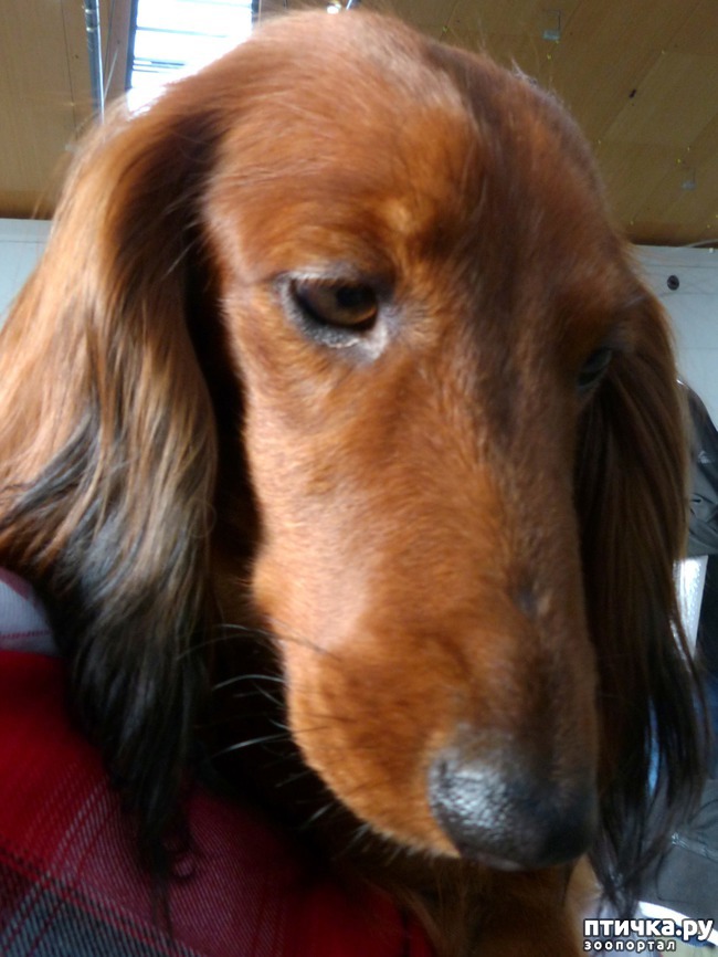 ���� 3: �������� � �������� ����� 4