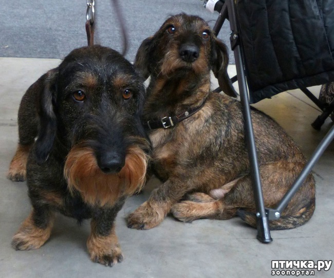 ���� 4: �������� � �������� ����� 4