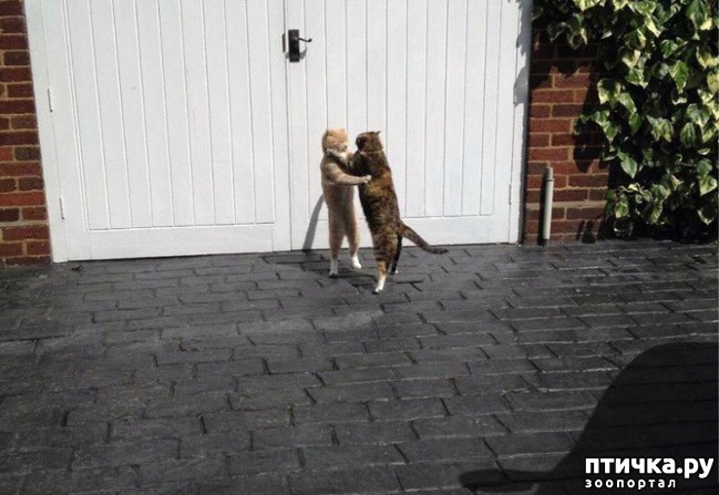 ���� 4: ��� ������� � �������� ��������)))