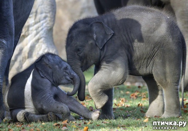 ���� 8: ��� ������� � �������� ��������)))