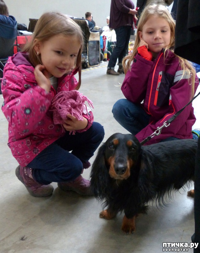 ���� 5: �������� � �������� ����� 4