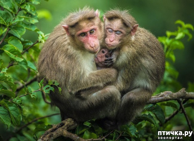 ���� 16: ��� ������� � �������� ��������)))