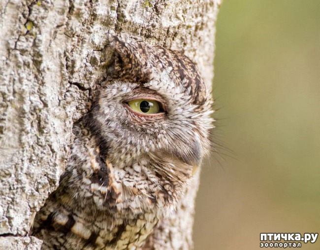 ���� 19: ��� ������� � �������� ��������)))