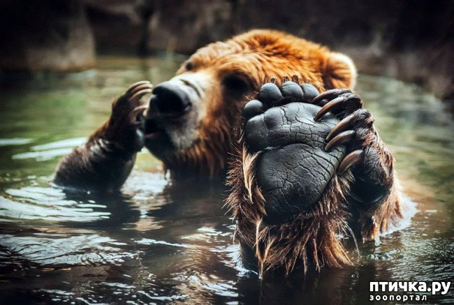 ���� 20: ��� ������� � �������� ��������)))