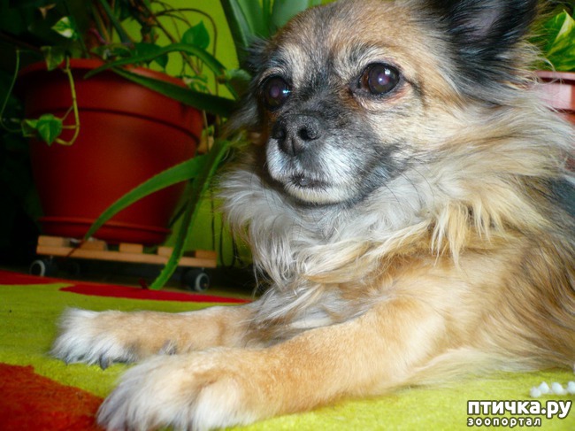 ���� 2: ������� ������� �����