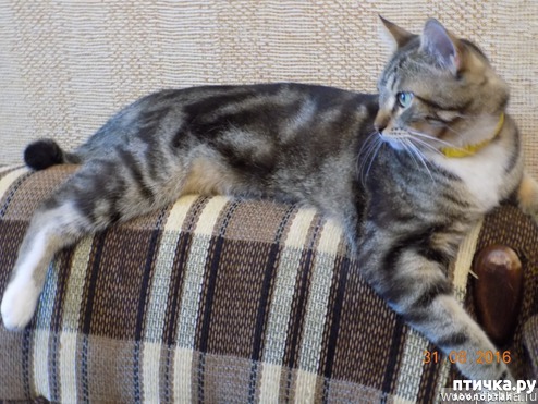 ���� 4: ��� � ���� ������: �� ��� �����?