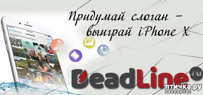 фото 1: Примите участие в конкурсе и получите iPhone X от DeadLine.ru!