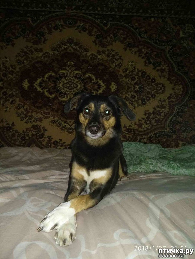 ���� 1: ��������!