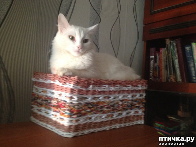 ���� 5: ��� � ���� ������: �� ��� �����?