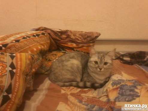 ���� 6: ��� � ���� ������: �� ��� �����?