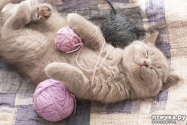 ���� 7: ��� � ���� ������: �� ��� �����?